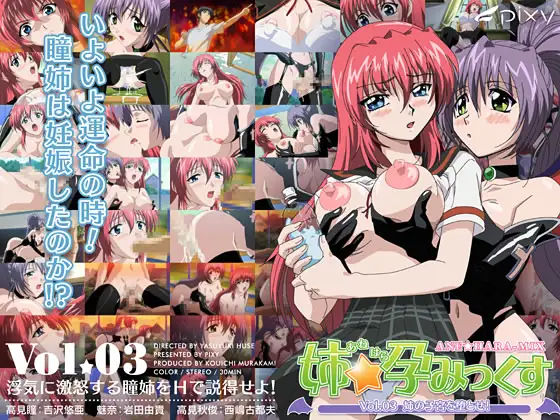 姉☆孕みっくす Vol.03 姉の子宮を堕とせ!